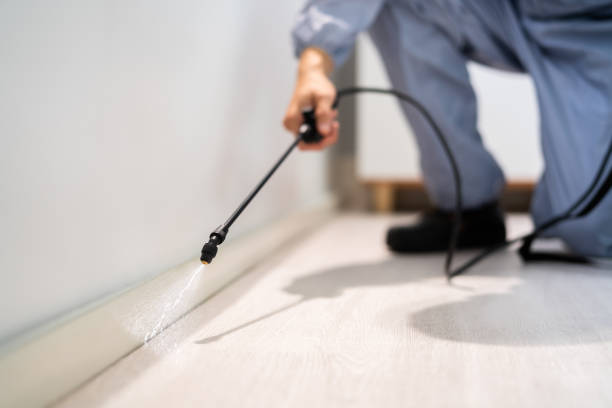Professional exterminator conducting IPM assessment in Gardiner