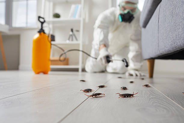 Post-Treatment Bed Bug Interceptor Monitoring in Gardiner