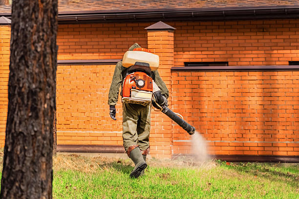 Bed Bug Clearance Verification and Documentation in Gardiner